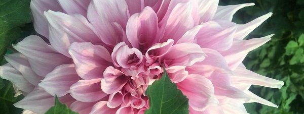 Hayırlı bir gün – 12-05-2025