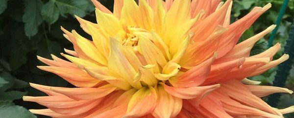 Hayırlı bir gün – 27-05-2025