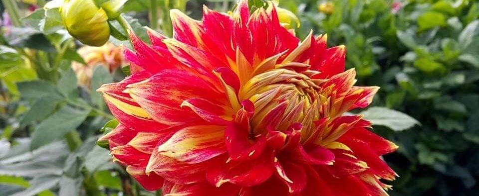 Hayırlı bir gün – 13-05-2025