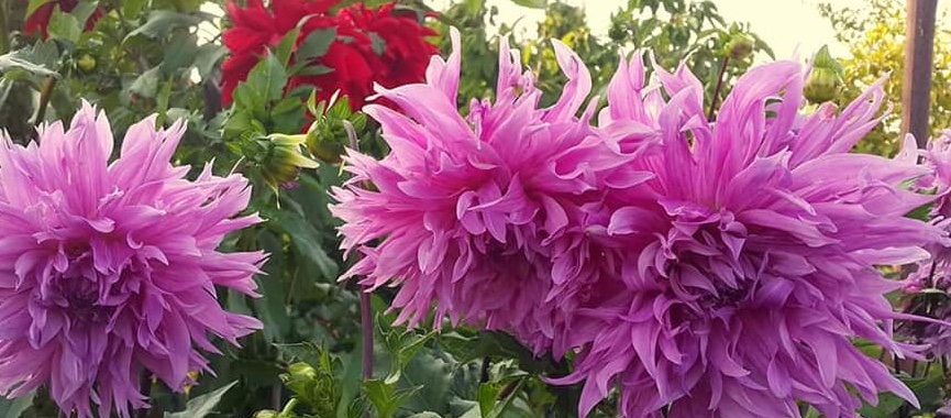 Hayırlı bir gün – 31-05-2025