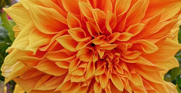 Hayırlı bir gün – 05-05-2025