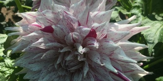 Hayırlı bir gün – 19-05-2025