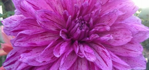 Hayırlı bir gün – 14-05-2025