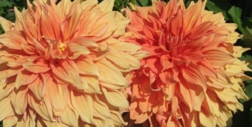 Hayırlı bir gün – 06-05-2025