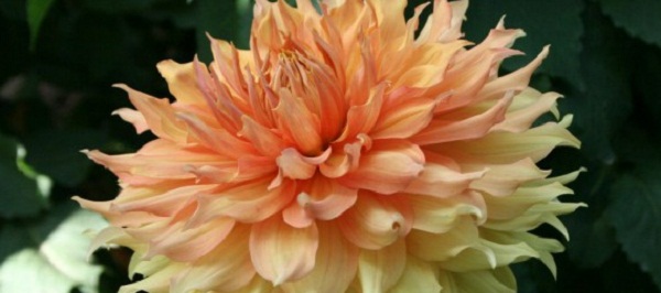 Hayırlı bir gün – 17-05-2025