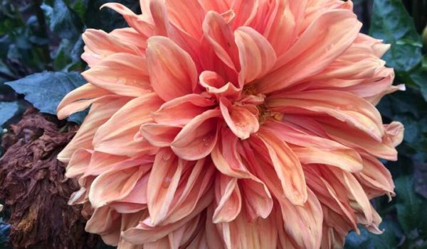 Hayırlı bir gün – 10-05-2025