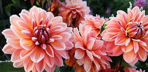 Hayırlı bir gün – 27-06-2025