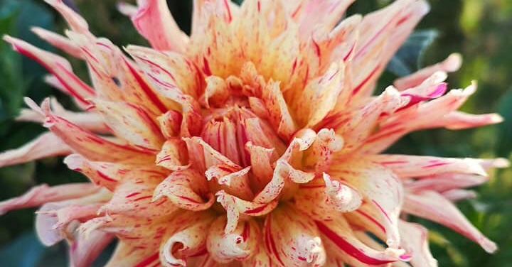 Hayırlı bir gün – 28-06-2025