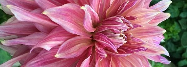 Hayırlı bir gün – 26-06-2025