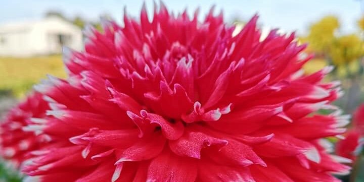 Hayırlı bir gün – 10-06-2025