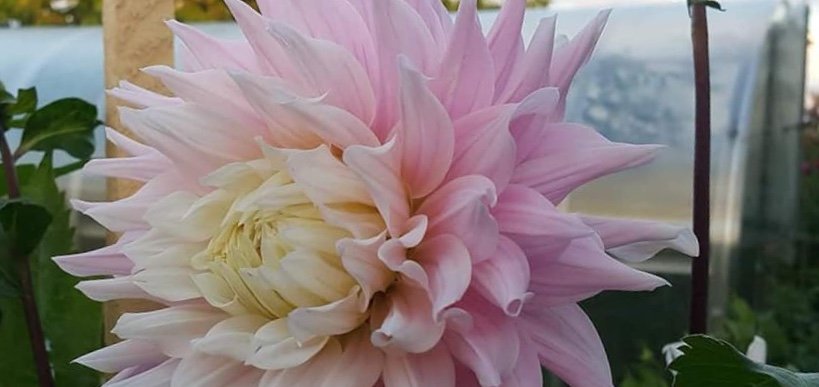 Hayırlı bir gün – 20-06-2025