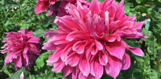 Hayırlı bir gün – 02-06-2025