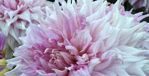 Hayırlı bir gün – 23-06-2025