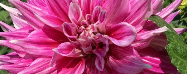 Hayırlı bir gün – 30-06-2025