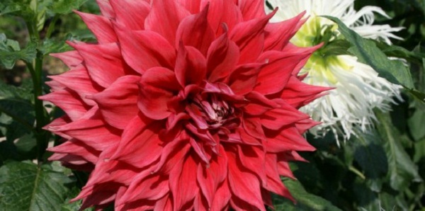 Hayırlı bir gün – 12-06-2025