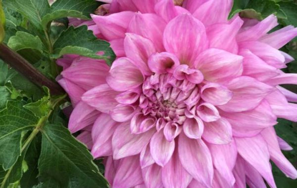 Hayırlı bir gün – 17-06-2025