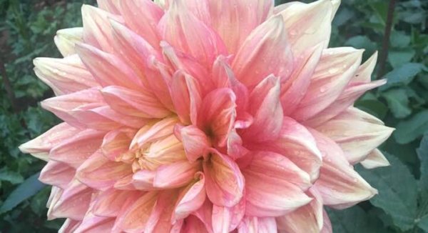 Hayırlı bir gün – 19-06-2025