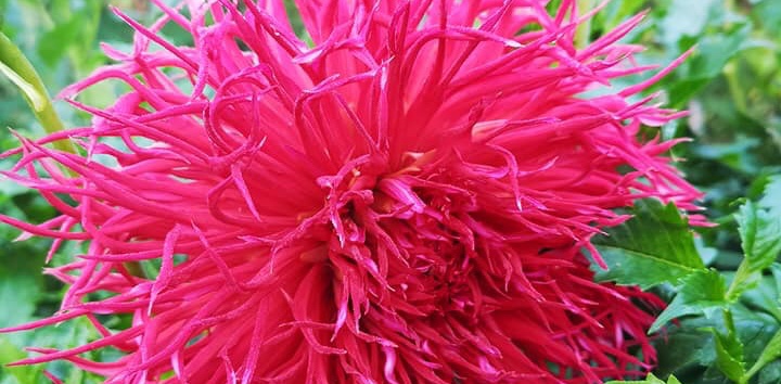 Hayırlı bir gün – 07-07-2025