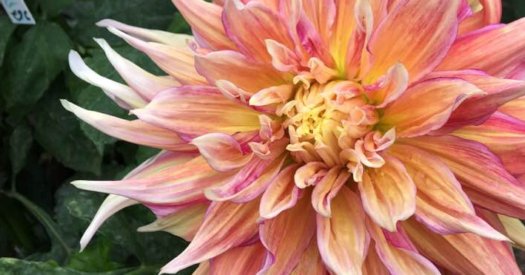 Hayırlı bir gün – 09-07-2025