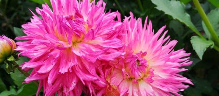 Hayırlı bir gün – 28-07-2025