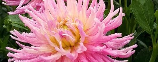 Hayırlı bir gün – 30-07-2025