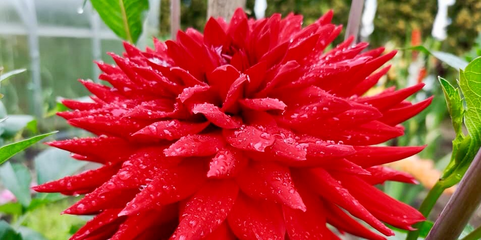 Hayırlı bir gün – 12-07-2025