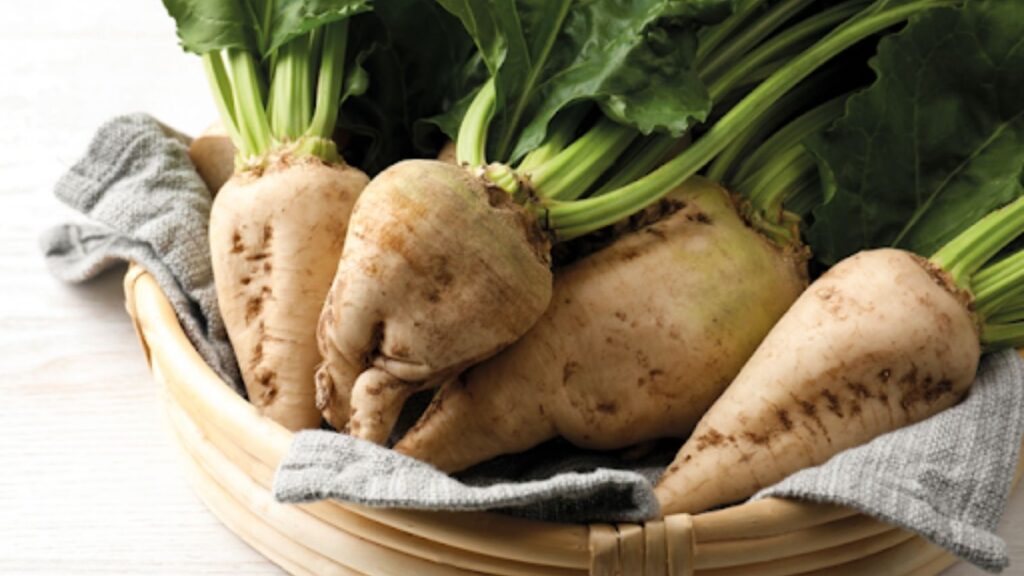 Küspe Satın Alırken Dikkat Edilmesi Gerekenler