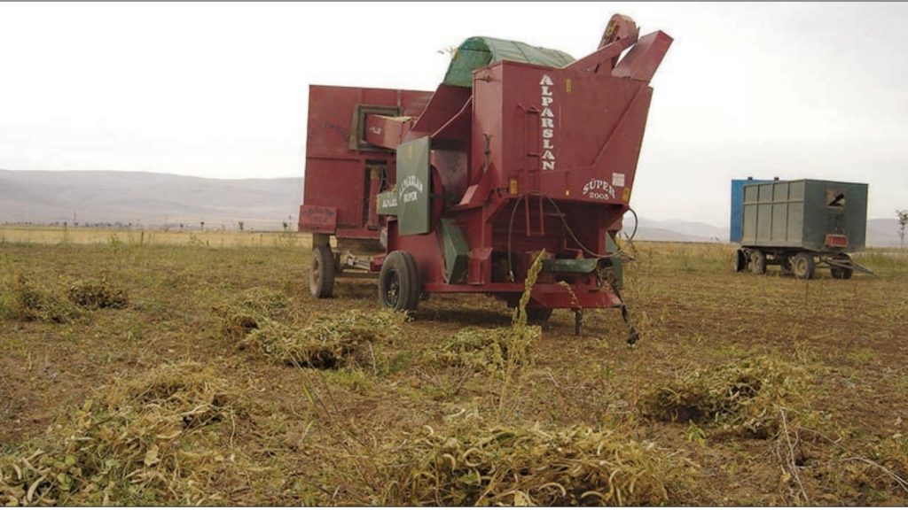 Kuru Fasulye Yetiştiriciliğinde Toprak Hazırlığı ve Gübreleme