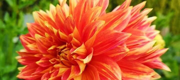 Hayırlı bir gün – 31-07-2025