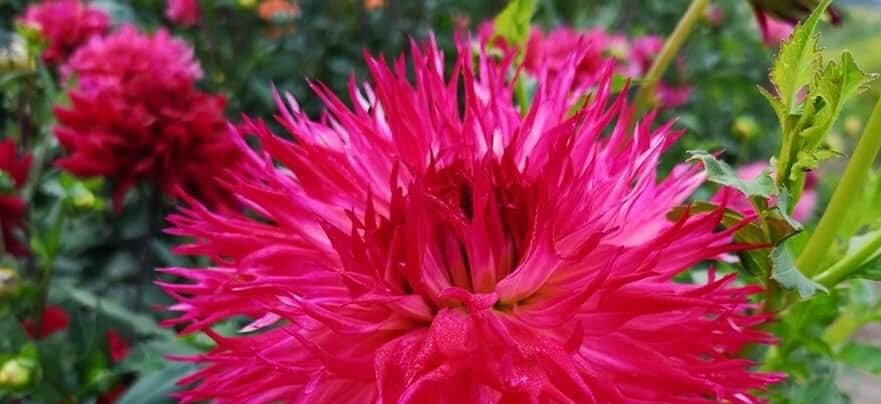 Hayırlı bir gün – 24-07-2025