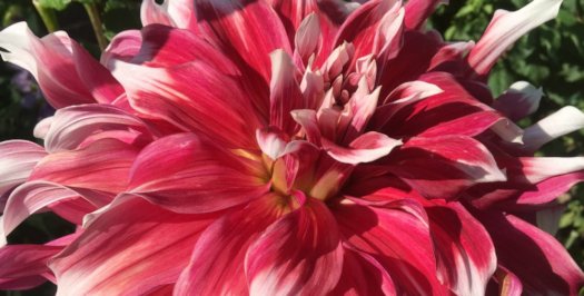 Hayırlı bir gün – 11-07-2025