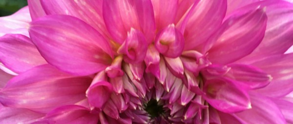 Hayırlı bir gün – 19-07-2025