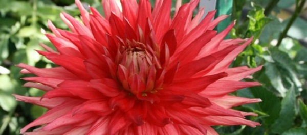 Hayırlı bir gün – 02-07-2025