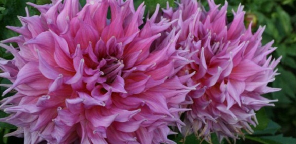 Hayırlı bir gün – 05-07-2025