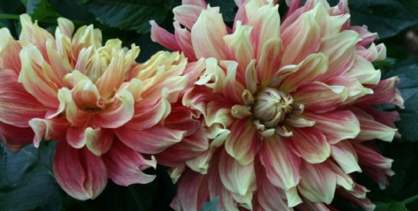 Hayırlı bir gün – 23-07-2025