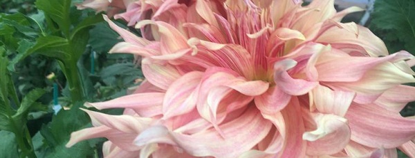 Hayırlı bir gün – 01-07-2025