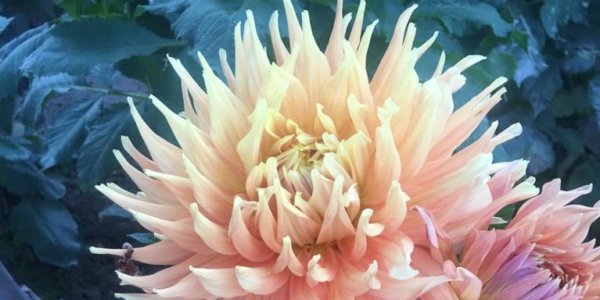 Hayırlı bir gün – 08-07-2025