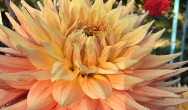 Hayırlı bir gün – 03-07-2025