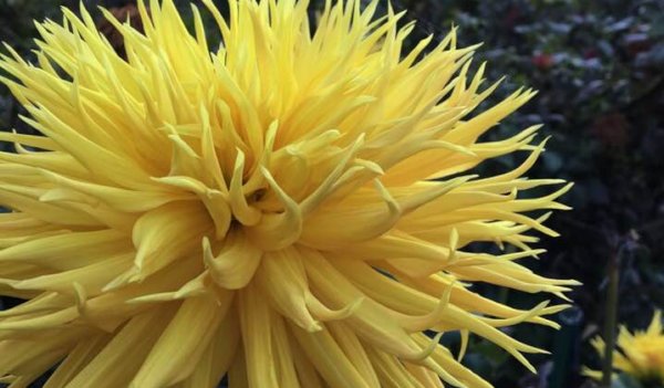 Hayırlı bir gün – 18-07-2025