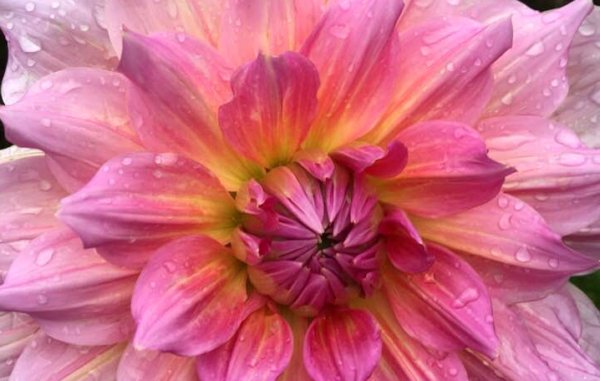 Hayırlı bir gün – 26-07-2025