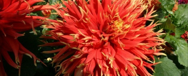 Hayırlı bir gün – 02-08-2025