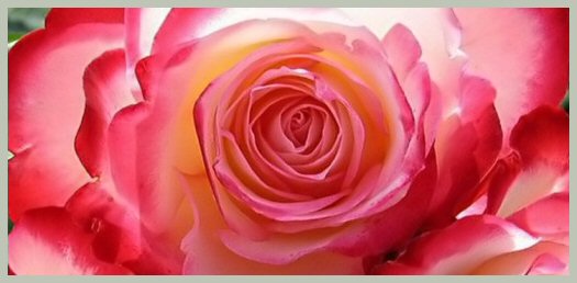 Hayırlı bir gün – 25-08-2025