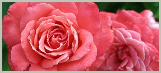 Hayırlı bir gün – 26-08-2025