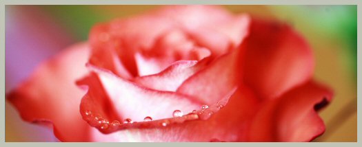 Hayırlı bir gün – 29-08-2025