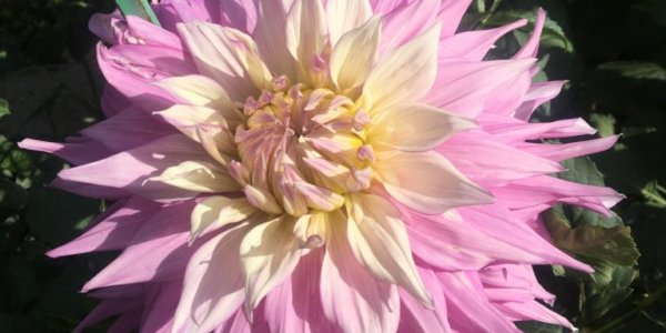 Hayırlı bir gün – 01-08-2025