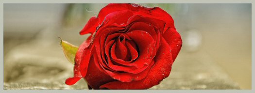 Hayırlı bir gün – 01-09-2025