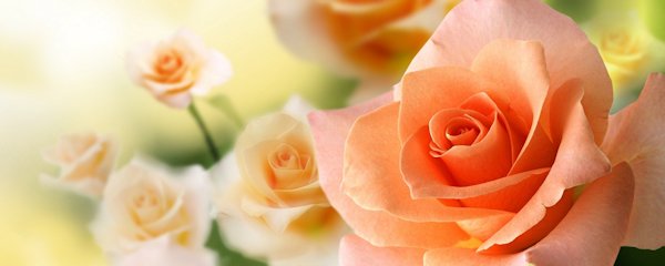 Hayırlı bir gün – 06-09-2025