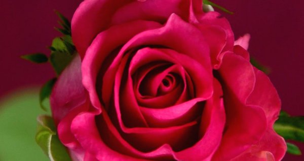 Hayırlı bir gün – 02-09-2025