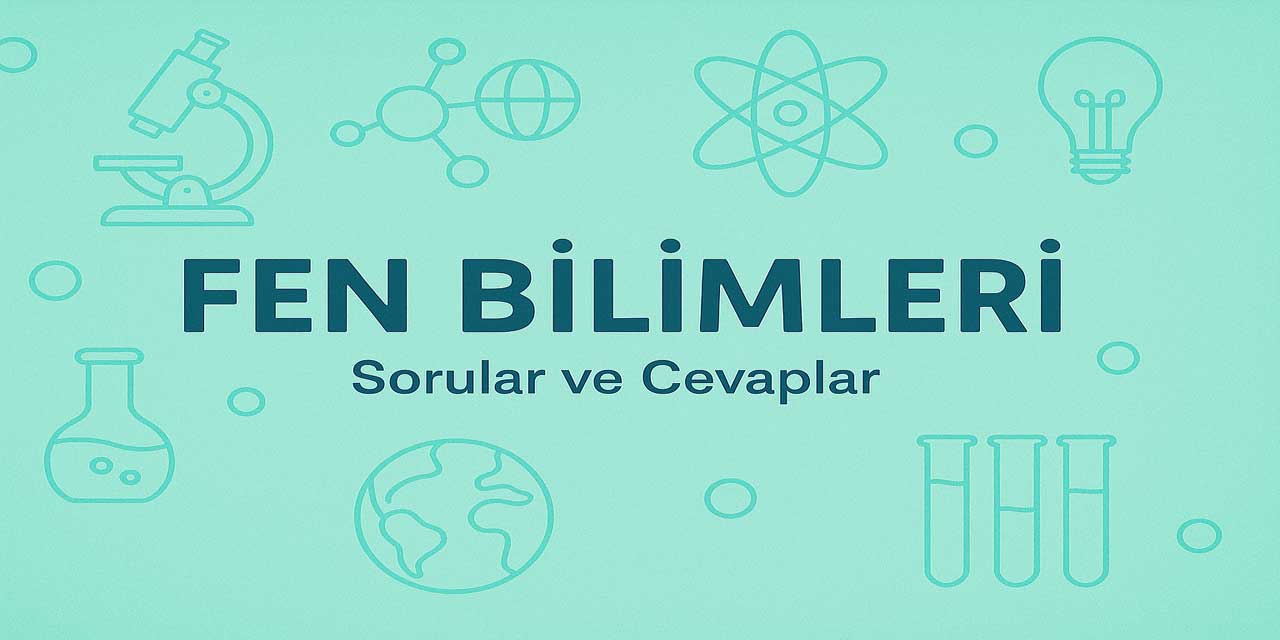 6. Sınıf Meb Fen Bilimleri 1. Ders Kitabı Sayfa 99 Cevapları