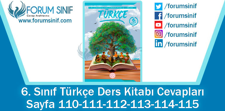 6. Sınıf Türkçe Ders Kitabı 110-111-112-113-114-115. Sayfa Cevapları 1. KİTAP
